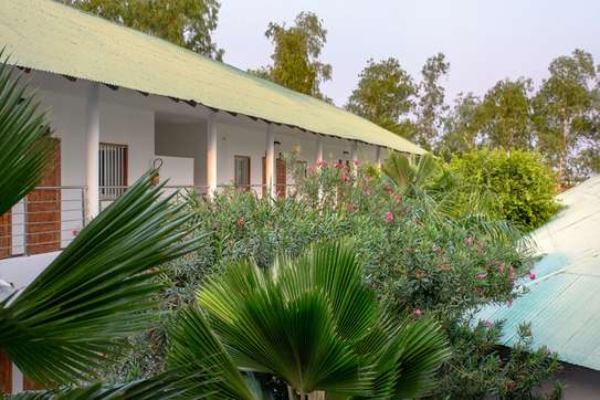 Le Relais de Tamba image 6