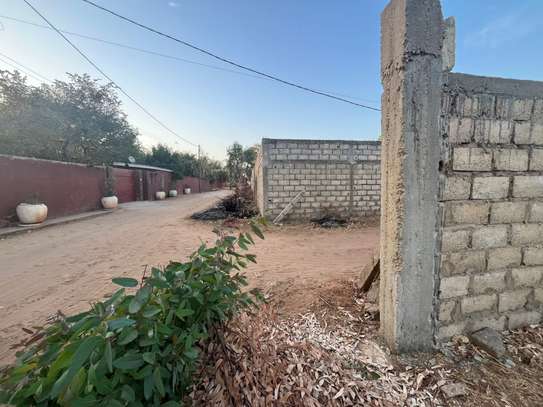 Terrain de 1000 m² entièrement clôturé à vendre 🌴✨ image 4