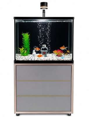 Aquarium image 5