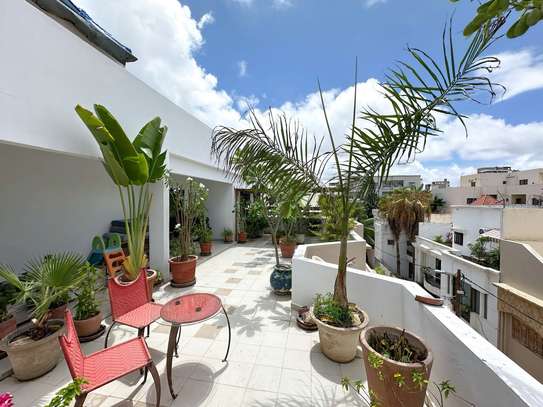 A louer, F4 meublé  avec une grande terrasse image 9