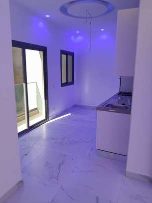 Appartement à louer aux maristes image 6