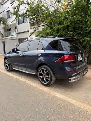 GLE image 10