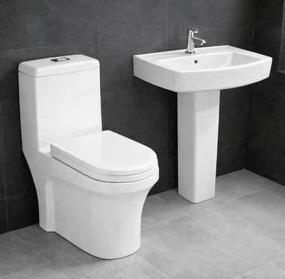 Sanitaires en vente image 5