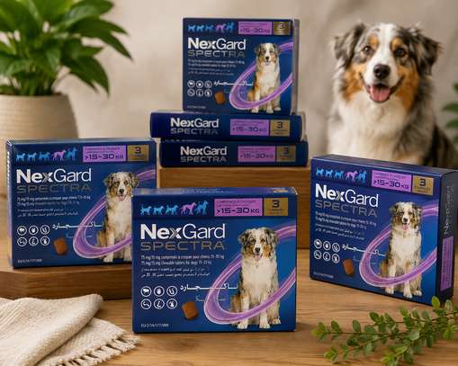 NexGard Spectra 15-30kg et 30-60kg image 2
