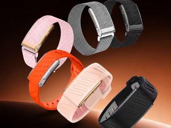 WHOOP – Bracelet de suivi santé et performance image 2