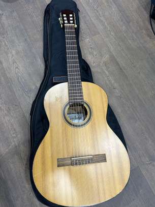 Guitare électrique et électroacoustique image 7