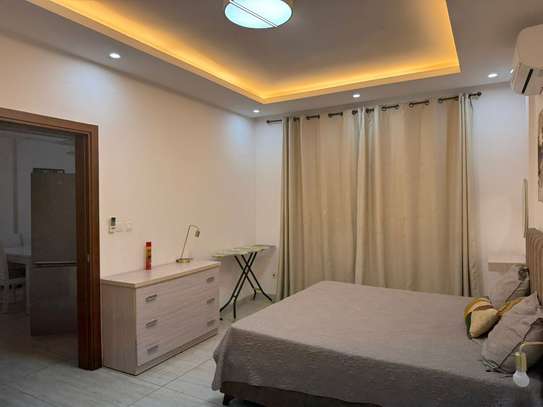Appartement F2 meublé - Point - E image 11