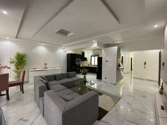APPARTEMENT MEUBLE F3 A LOUER POINT E image 4