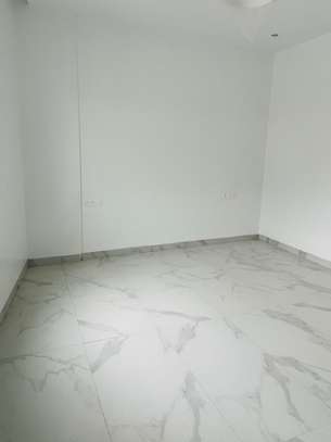 F3 à vendre à la Zone B / Point E image 7