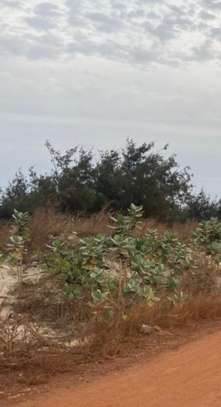 2000 m2 Malika premier position image 2