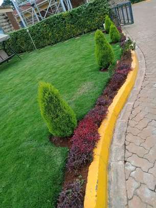 Aménagement Jardin Espace Vert Paysager avec gazon naturel image 2