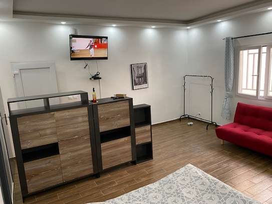 Studio meublé à louer au Front de terre image 8