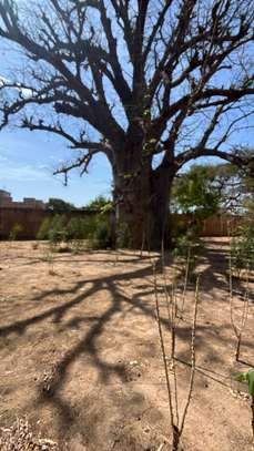VILLA SUR TERRAIN 8700M2 KEUR YOUNGAR image 11
