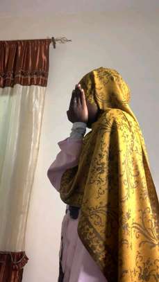 Pashminas image 6