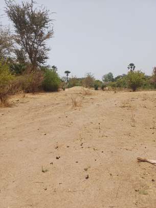 Verger 3ha à vendre à Ndianda Ngeuniène sur la route de joal image 5