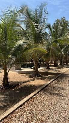 VILLA SUR TERRAIN 8700M2 KEUR YOUNGAR image 7