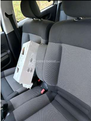C4 Cactus 2015 image 4