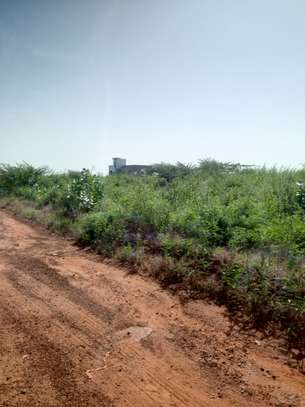 terrain Sindia,zone Rally image 6