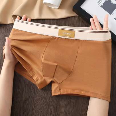 Boxers homme 100% cotton lot de 5 pièces image 6