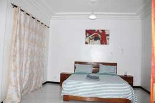 Appartement loué avec ou sans les meubles image 8