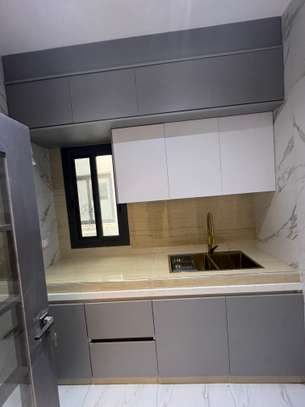 MINI STUDIO FASS VERS ISM image 11
