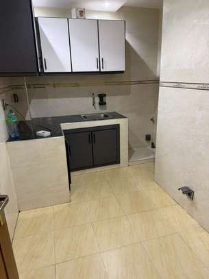 Appartement à louer mermoz batrain image 6