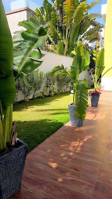 Villa à louer aux Almadies image 4