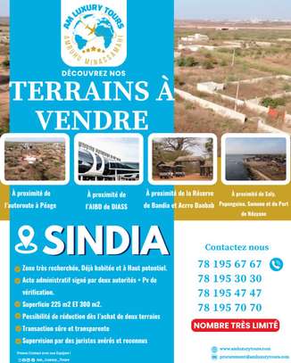 Découvrez nos terrains à vendre à SINDIA image 4