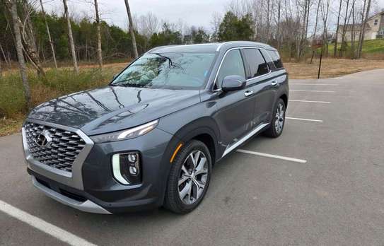 Hyundai Palisade image 4