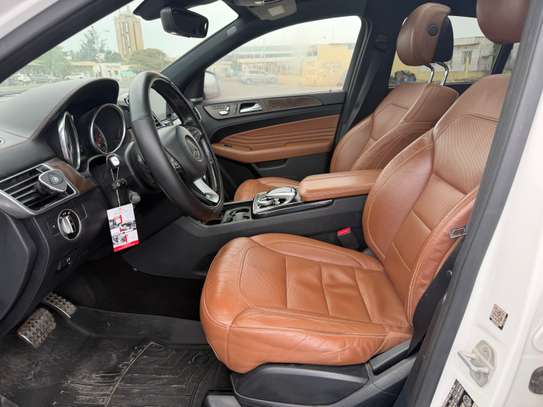 GLE image 14