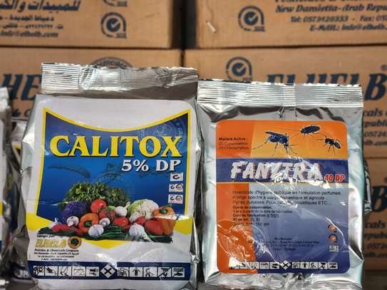 FANYTRA 40 DP Insecticide 100g image 2