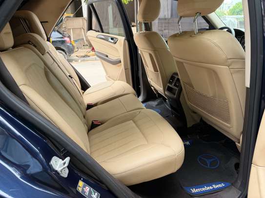 GLE image 15