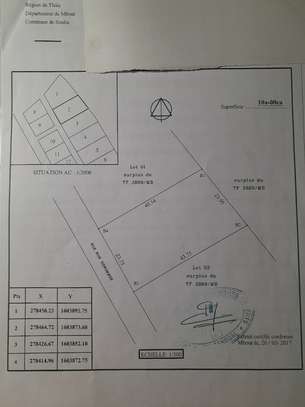 terrain image 4