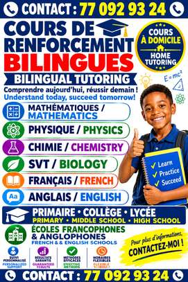 Cours de renforcement bilingues Français - Anglais à Dakar image 8