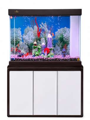 Aquarium image 3