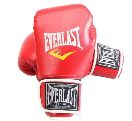 Everlast Gants de boxe Professionnel image 13
