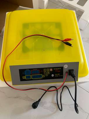 Couveuse Automatique neuve image 4