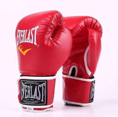 Everlast Gants de boxe Professionnel image 5