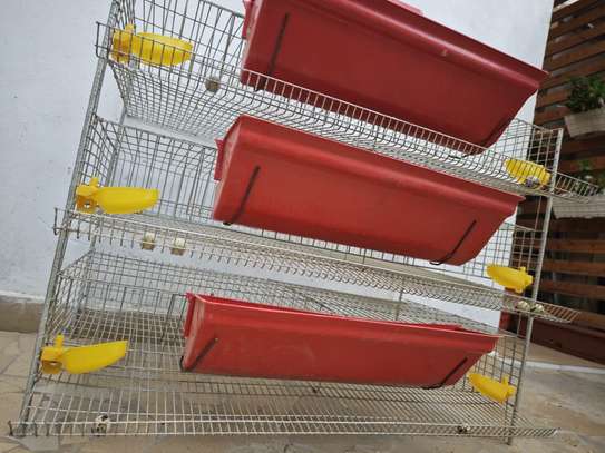 Cage d'élevage pour cailles 3 étages (Petit modèle) image 3