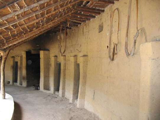 Campement villageois d’Affiniam image 3