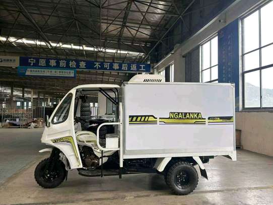 Ngalanka triporteur électrique utilitaire blanc sécurisé image 2
