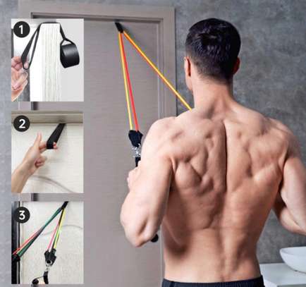 Bandes de Résistance - Exercices musculation image 2