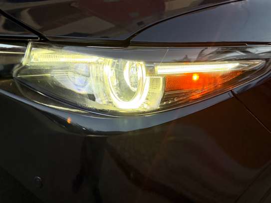 Cx9 2018 GT image 5