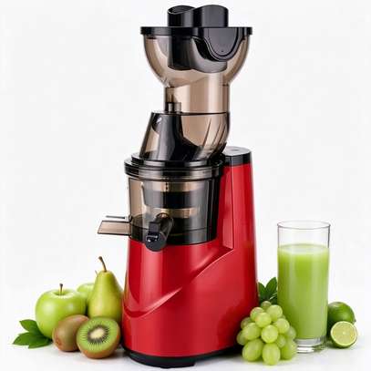 Extracteur de jus lent 1000 W, presse-agrumes à froid image 12