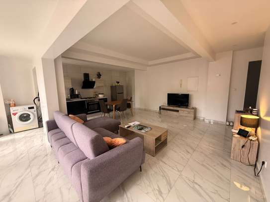 appartement meublé f2 image 8