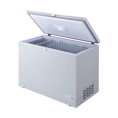 CONGELATEUR LG HORIZONTAL 300LITRES image 3