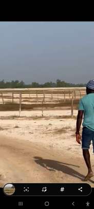 TERRAIN À VENDRE – ÎLES DU SINE-SALOUM image 6