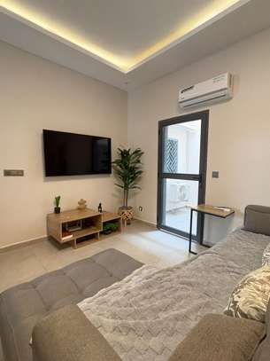 Appartement F2 meublé situé à louer image 14