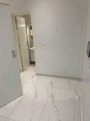 🏡 À LOUER – APPARTEMENTS HAUT STANDING À MARISTE 2 image 13