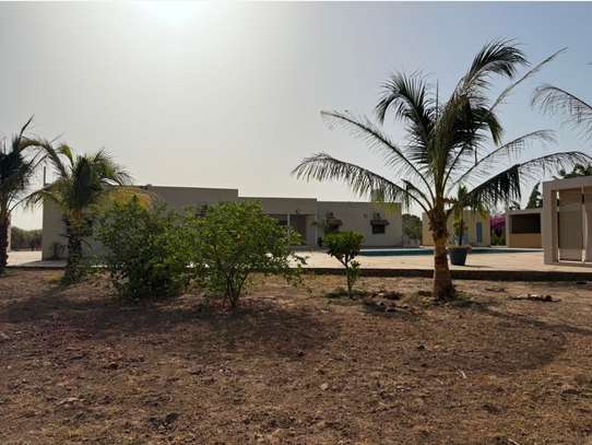 Maison et verger sur Nguekokh image 9